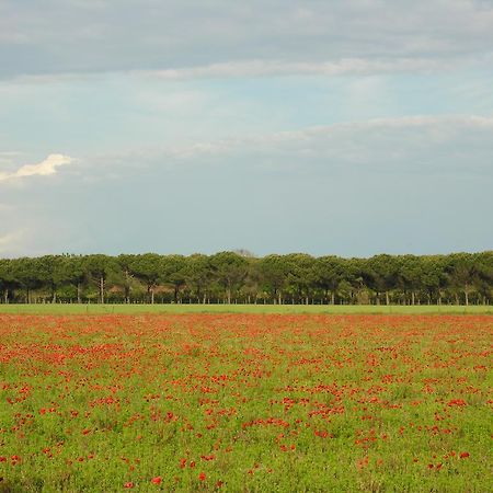 Appartamenti Alaska Bibione Bagian luar foto