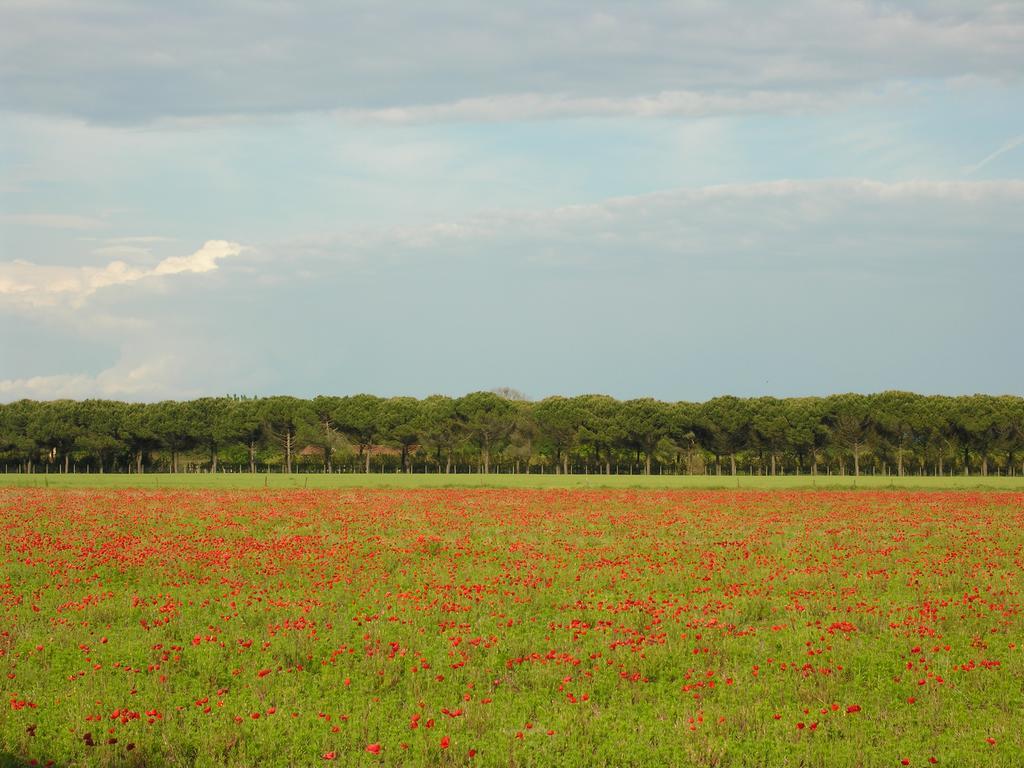 Appartamenti Alaska Bibione Bagian luar foto